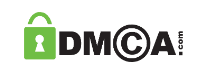 DMCA protected website badge for S R Security System